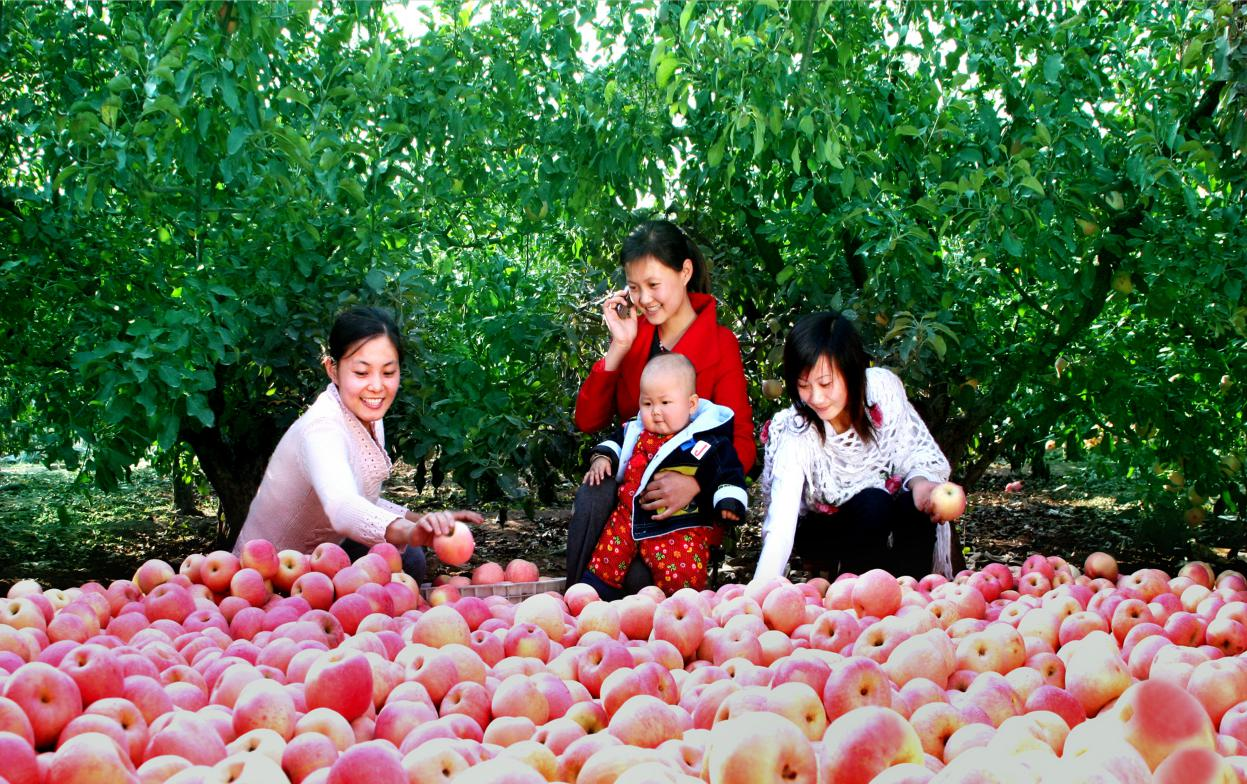 图片 16.png 图片 16.png